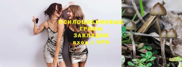ECSTASY Вяземский